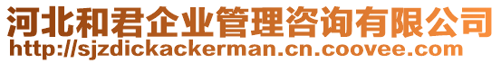 河北和君企業(yè)管理咨詢有限公司