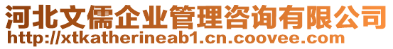 河北文儒企業(yè)管理咨詢有限公司