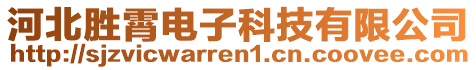 河北勝霄電子科技有限公司