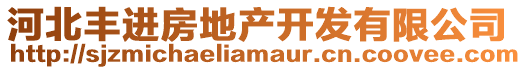 河北豐進(jìn)房地產(chǎn)開(kāi)發(fā)有限公司