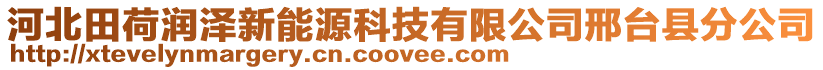 河北田荷潤澤新能源科技有限公司邢臺縣分公司