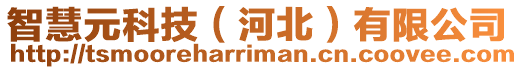 智慧元科技（河北）有限公司