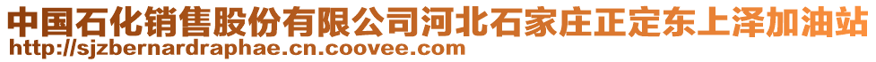 中國石化銷售股份有限公司河北石家莊正定東上澤加油站