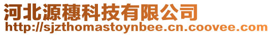 河北源穗科技有限公司