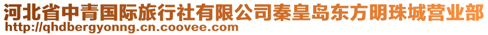 河北省中青國際旅行社有限公司秦皇島東方明珠城營業(yè)部