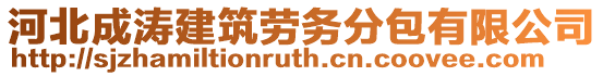 河北成濤建筑勞務分包有限公司
