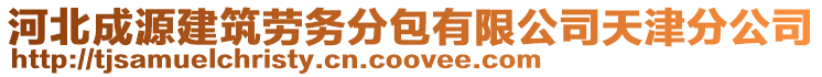 河北成源建筑勞務分包有限公司天津分公司