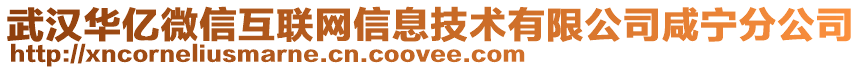 武汉华亿微信互联网信息技术有限公司咸宁分公司