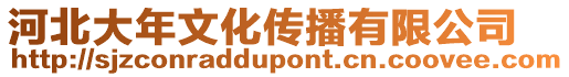 河北大年文化傳播有限公司