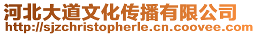 河北大道文化傳播有限公司