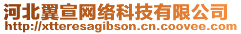 河北翼宣網(wǎng)絡(luò)科技有限公司