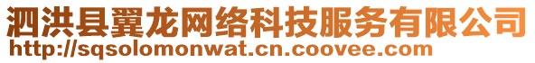 泗洪县翼龙网络科技服务有限公司