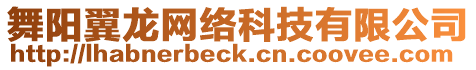 舞陽翼龍網(wǎng)絡(luò)科技有限公司