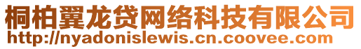 桐柏翼龍貸網(wǎng)絡(luò)科技有限公司