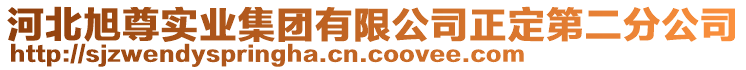 河北旭尊實(shí)業(yè)集團(tuán)有限公司正定第二分公司