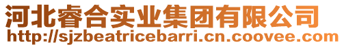 河北睿合實(shí)業(yè)集團(tuán)有限公司