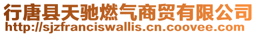 行唐縣天馳燃氣商貿有限公司