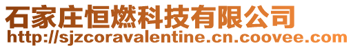 石家莊恒燃科技有限公司