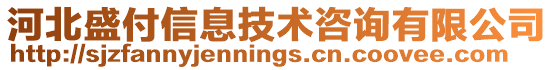 河北盛付信息技術(shù)咨詢有限公司