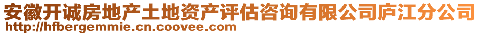 安徽開誠(chéng)房地產(chǎn)土地資產(chǎn)評(píng)估咨詢有限公司廬江分公司