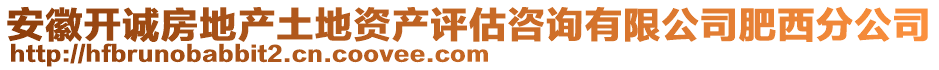 安徽開(kāi)誠(chéng)房地產(chǎn)土地資產(chǎn)評(píng)估咨詢有限公司肥西分公司