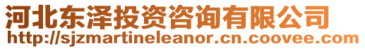 河北東澤投資咨詢有限公司