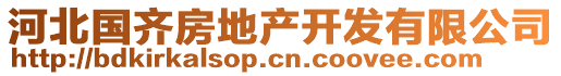 河北國齊房地產(chǎn)開發(fā)有限公司