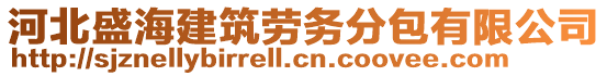 河北盛海建筑勞務分包有限公司