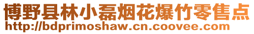 博野縣林小磊煙花爆竹零售點