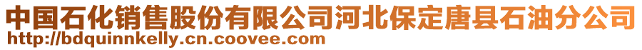 中國石化銷售股份有限公司河北保定唐縣石油分公司