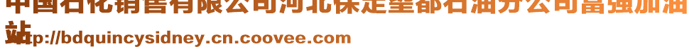 中国石化销售有限公司河北保定望都石油分公司富强加油
站