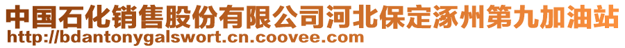 中國(guó)石化銷售股份有限公司河北保定涿州第九加油站