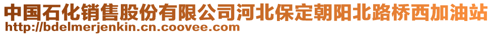 中國(guó)石化銷售股份有限公司河北保定朝陽(yáng)北路橋西加油站