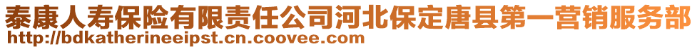 泰康人壽保險(xiǎn)有限責(zé)任公司河北保定唐縣第一營(yíng)銷(xiāo)服務(wù)部