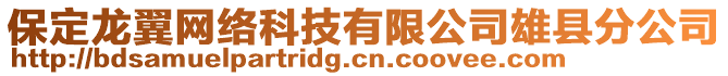 保定龍翼網(wǎng)絡(luò)科技有限公司雄縣分公司