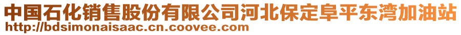 中國石化銷售股份有限公司河北保定阜平東灣加油站