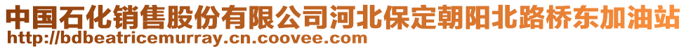 中國(guó)石化銷售股份有限公司河北保定朝陽(yáng)北路橋東加油站