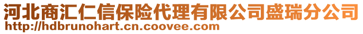 河北商汇仁信保险代理有限公司盛瑞分公司