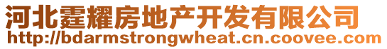 河北霆耀房地產(chǎn)開(kāi)發(fā)有限公司