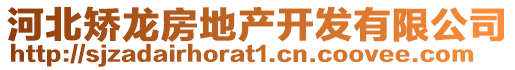 河北矯龍房地產(chǎn)開發(fā)有限公司