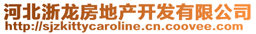 河北浙龍房地產(chǎn)開(kāi)發(fā)有限公司