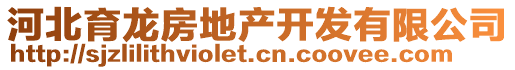 河北育龍房地產(chǎn)開發(fā)有限公司