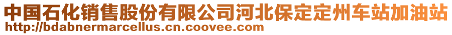 中國石化銷售股份有限公司河北保定定州車站加油站