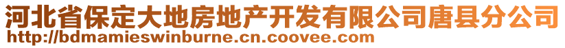 河北省保定大地房地產(chǎn)開發(fā)有限公司唐縣分公司