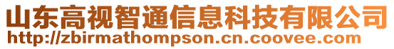 山東高視智通信息科技有限公司