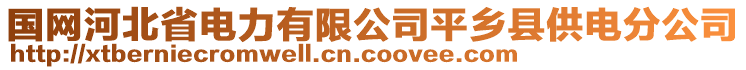 國(guó)網(wǎng)河北省電力有限公司平鄉(xiāng)縣供電分公司