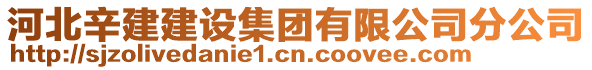 河北辛建建設(shè)集團(tuán)有限公司分公司