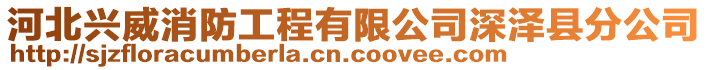 河北興威消防工程有限公司深澤縣分公司