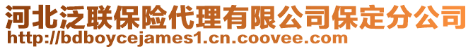 河北泛聯(lián)保險(xiǎn)代理有限公司保定分公司