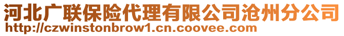 河北廣聯(lián)保險(xiǎn)代理有限公司滄州分公司